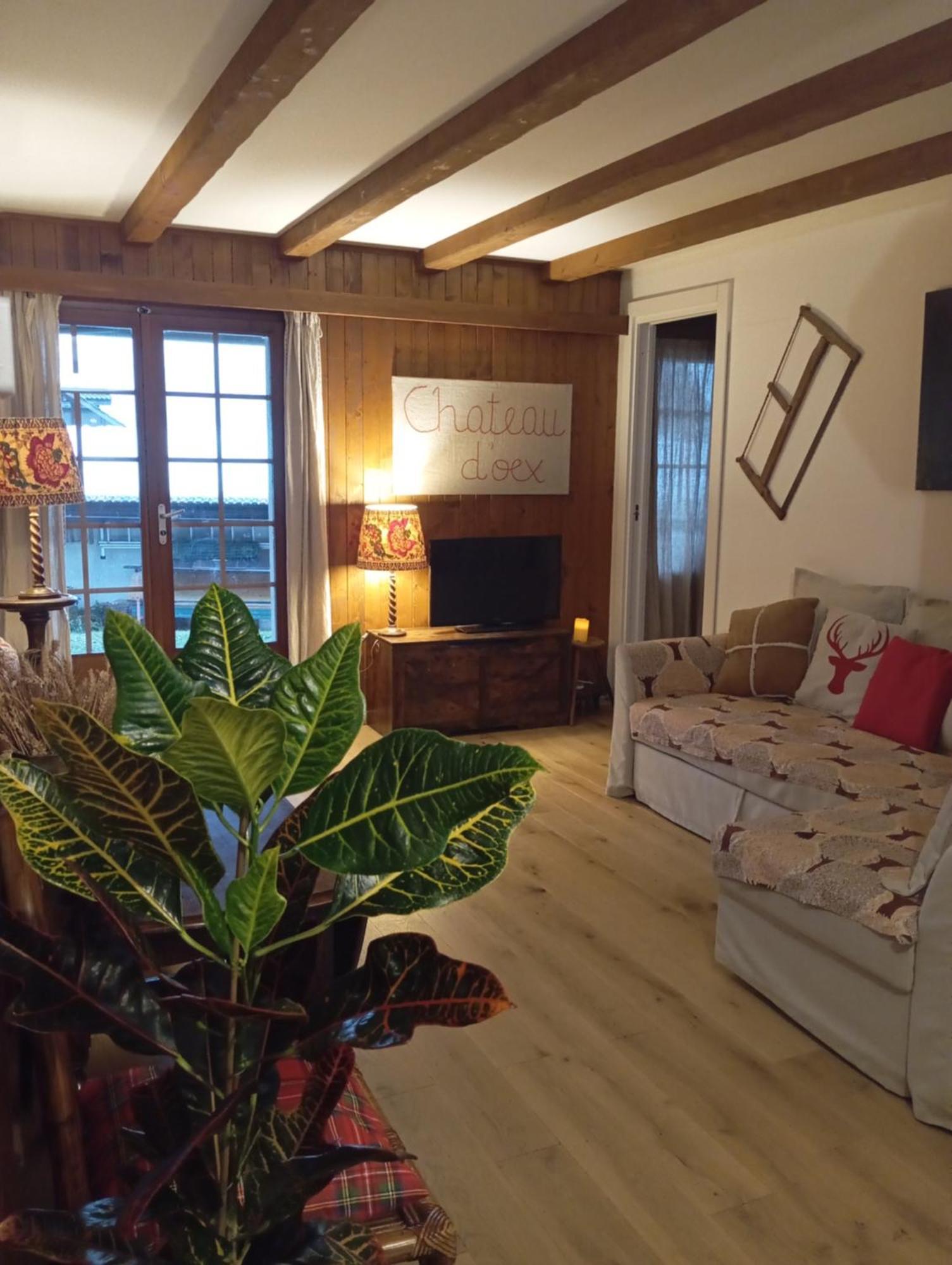 Cozy Apartment In The Heart Of The Alps Chateau-d'Oex Dış mekan fotoğraf