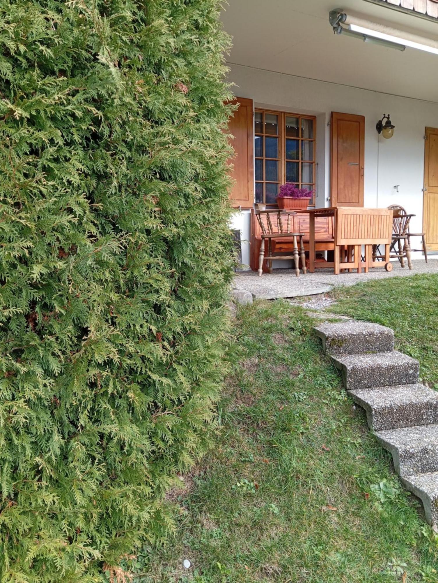 Cozy Apartment In The Heart Of The Alps Chateau-d'Oex Dış mekan fotoğraf
