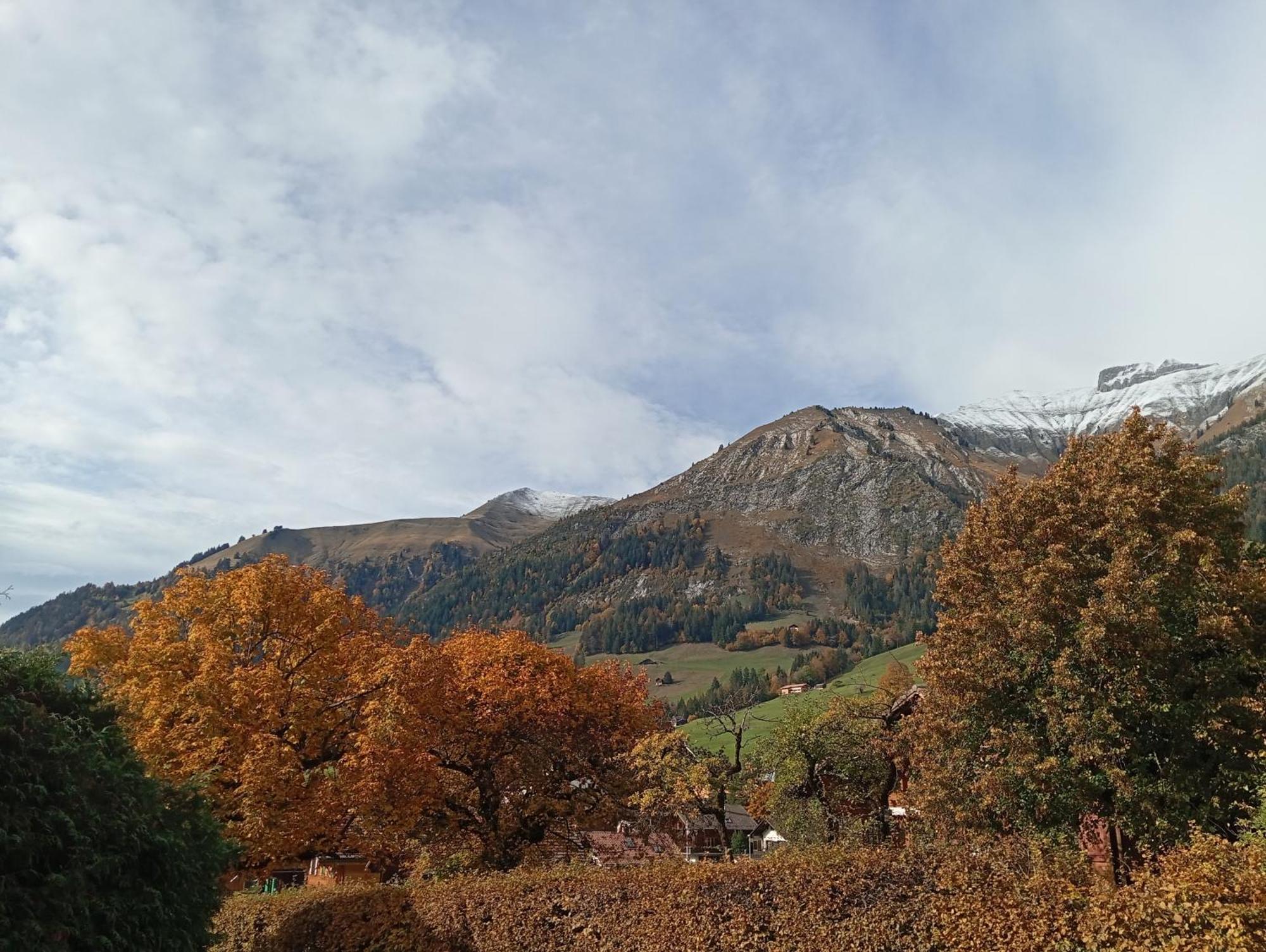 Cozy Apartment In The Heart Of The Alps Chateau-d'Oex Oda fotoğraf